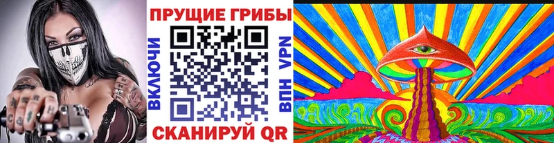 блэк спрут ССЫЛКА Чаплыгин Псилоцибиновые грибы MAGIC MUSHROOMS