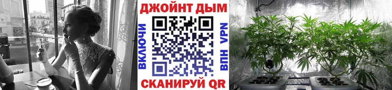Бошки марихуана план  Чаплыгин 