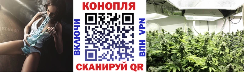 Бошки марихуана ГИДРОПОН Чаплыгин